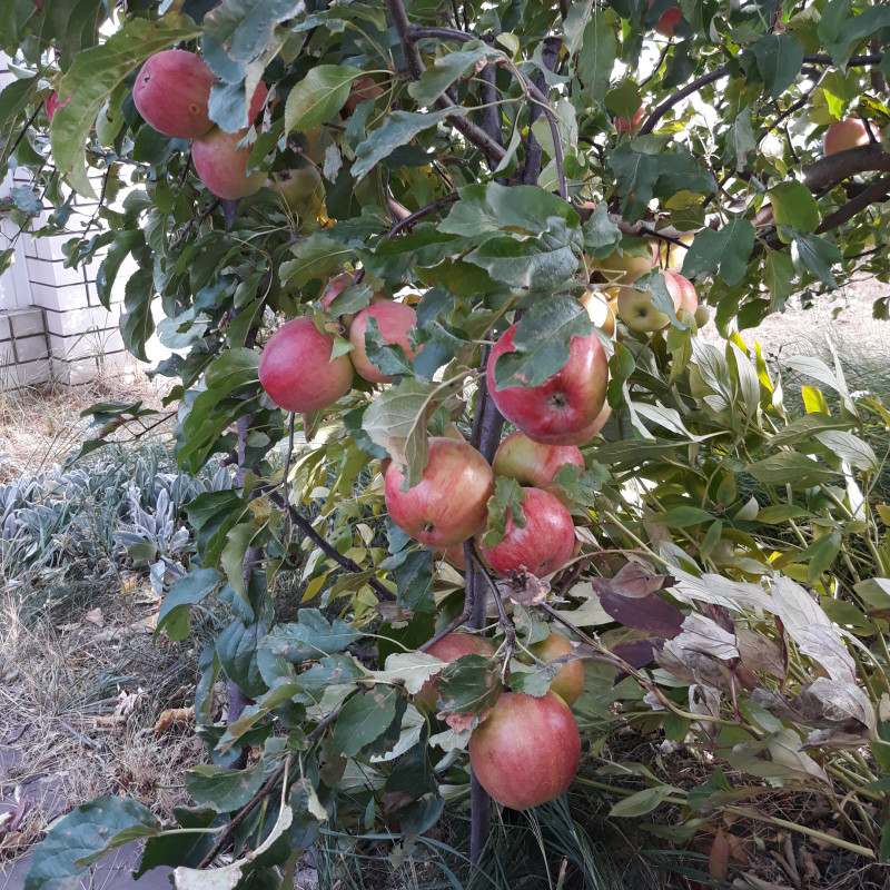 20201001_150606.jpg