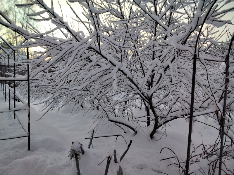 IMG-20211211-WA0007.jpeg