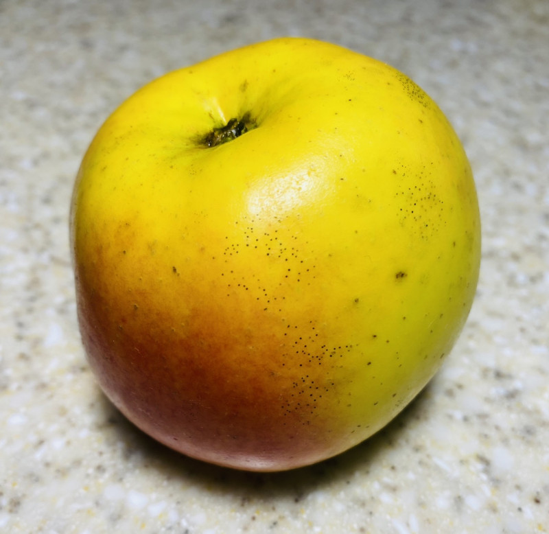 F7851D2B-289F-4BD2-B665-194DC374E8D5.jpeg