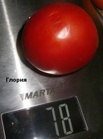 P1010257.JPG