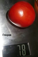 P1010256.JPG