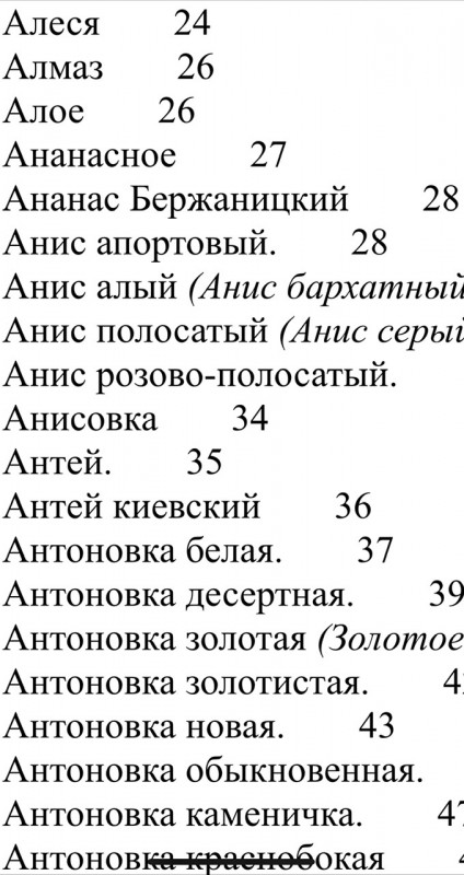 9FC643A0-9187-4EE0-B72A-7F6E5C0D877C.jpeg