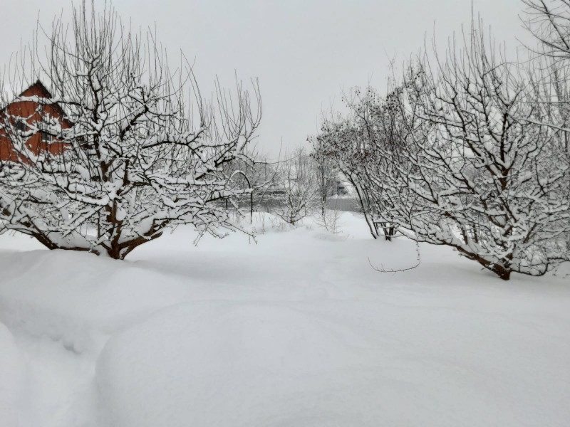 IMG-20220218-WA0001.jpg