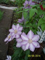 100_4153.JPG