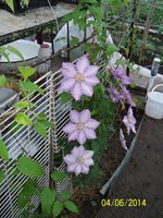 100_4154.JPG