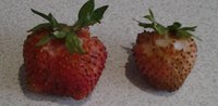 20140624_190255.jpg