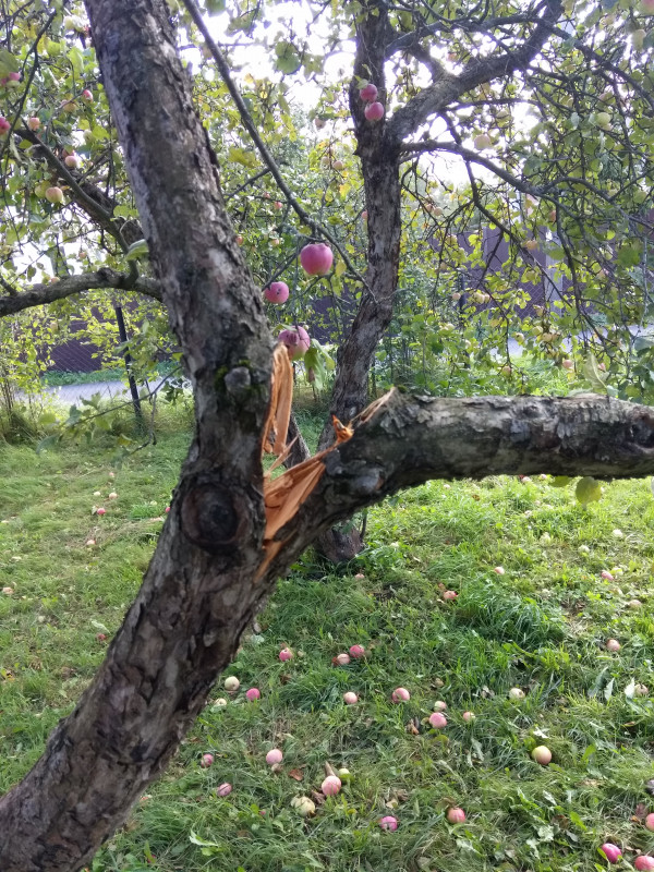 IMG_20180913_Звёздочка.jpg