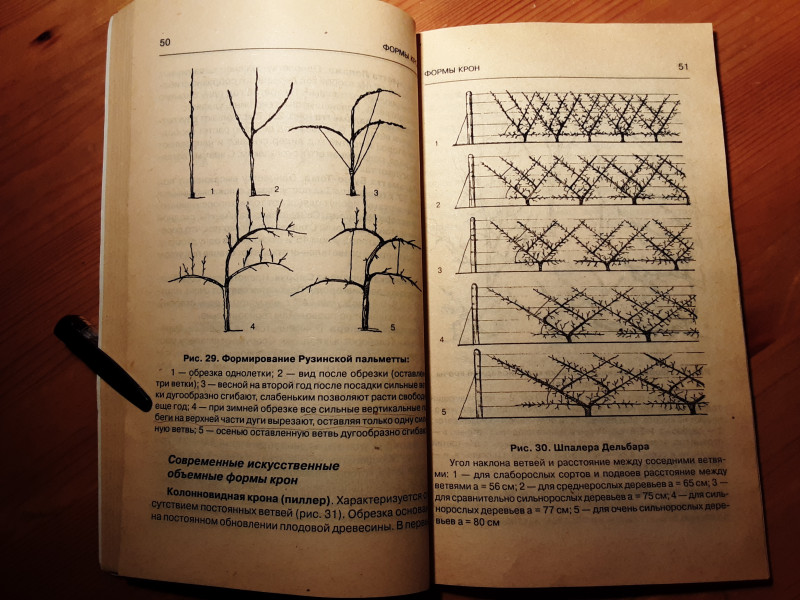 20220307_180751.jpg
