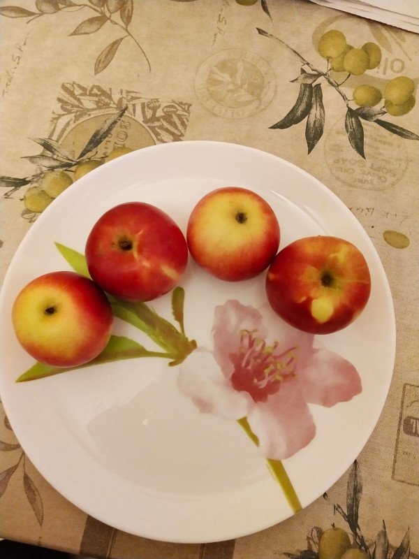Сноусвит, еще сочный, но мякоть уже рыхловата, 4,2