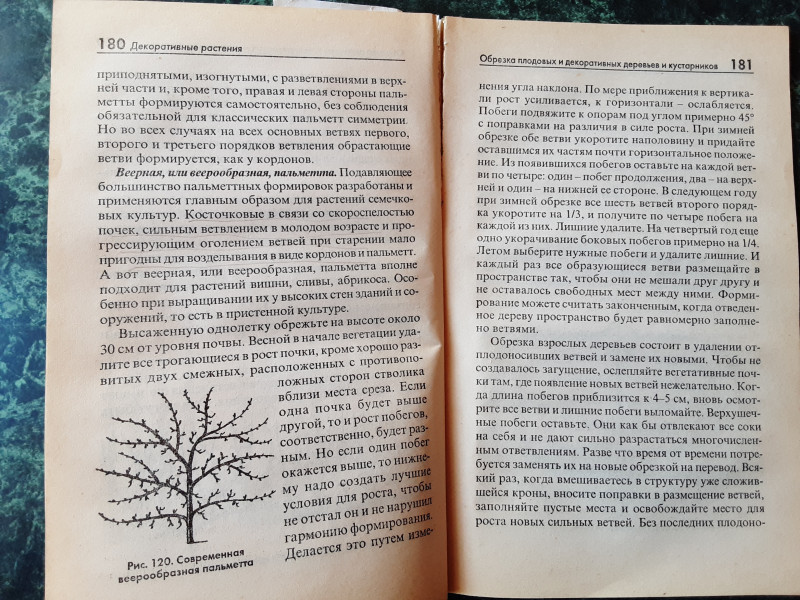 20220318_130509.jpg