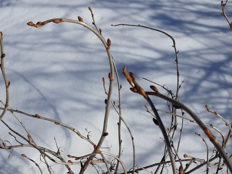 20220318_123235.jpg