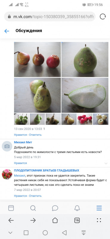 Screenshot_20220321_195608_com.huawei.browser.jpg