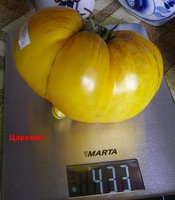 P1010091.JPG