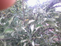 1404487201109.jpg
