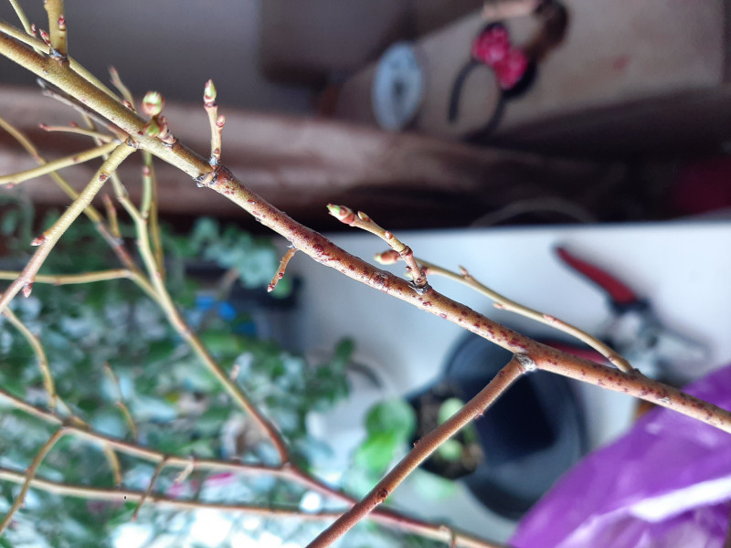 20220413_102021.jpg