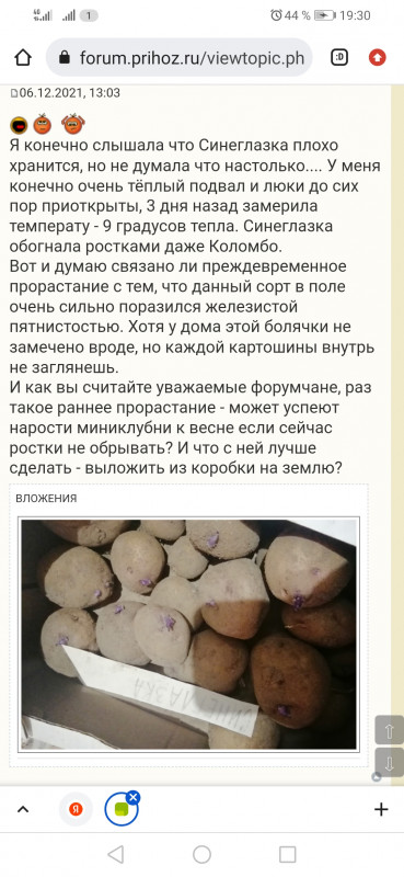 Screenshot_20220420_193014_com.android.chrome.jpg