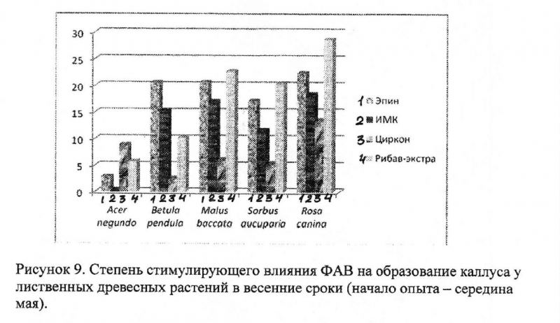 Бондорина.PNG