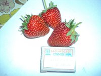 Моллинг Опал