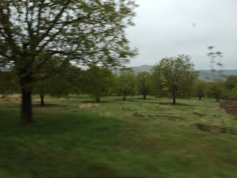 IMG_20220429_102511.jpg