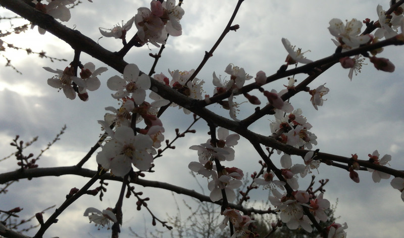 IMG_20220504_023323.jpg