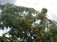 DSCN2274.JPG