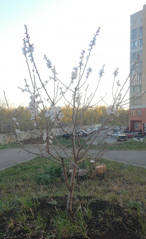 IMG_20220504_215555.jpg