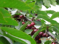 DSCN2279.JPG