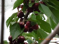 DSCN2280.JPG