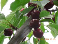 DSCN2281.JPG