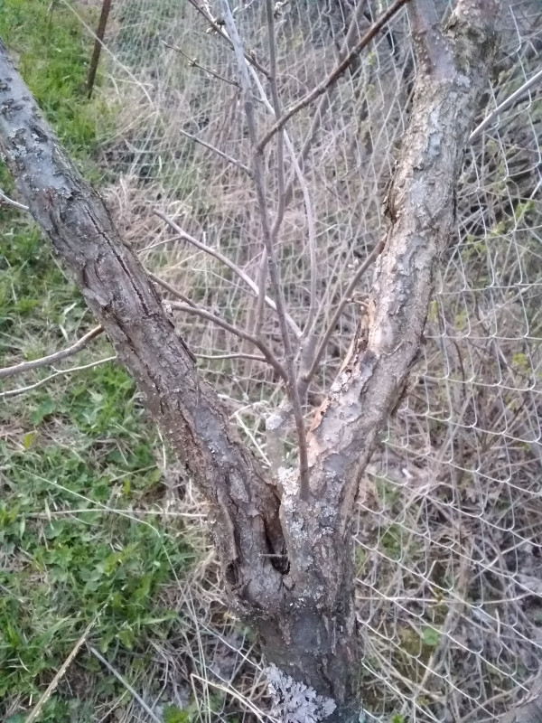 IMG_20220506_201022.jpg