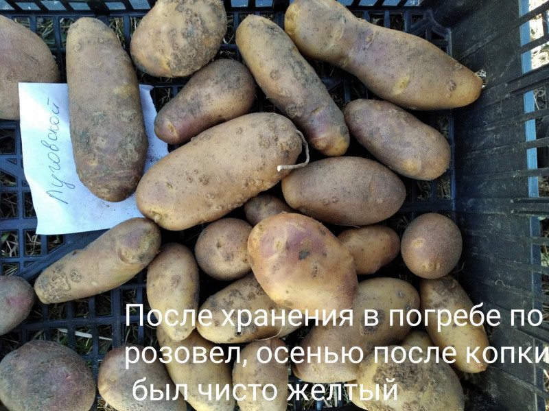 изображение_viber_2022-05-16_13-59-59-102.jpg