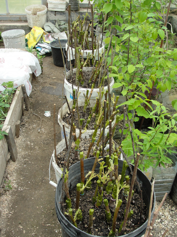 DSC07340.JPG