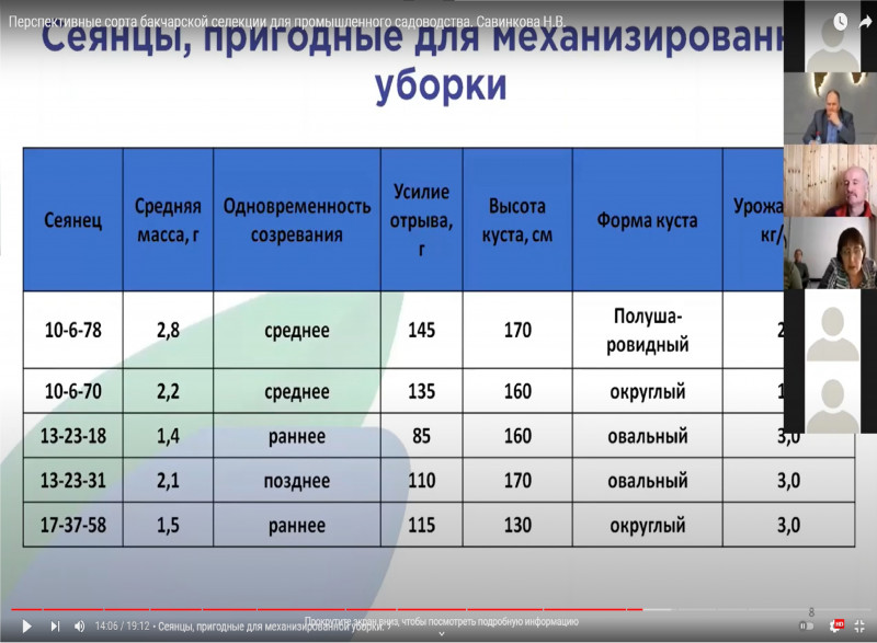 Перспективные сорта бакчарской селекции для промышленного садоводства. Савинкова Н.В.<br />Остальные сорта каждый на отдельном слайде в сводной таблице нет.