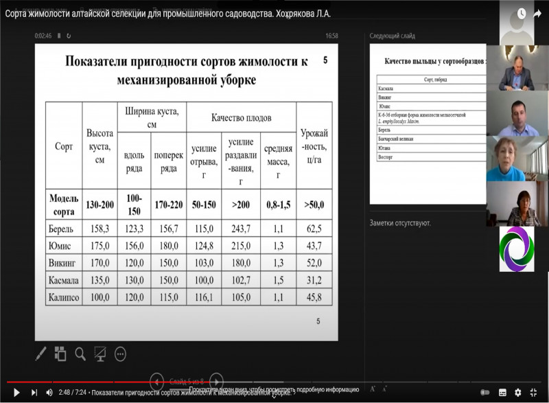 Сорта жимолости алтайской селекции для промышленного садоводства. Хохрякова Л.А.