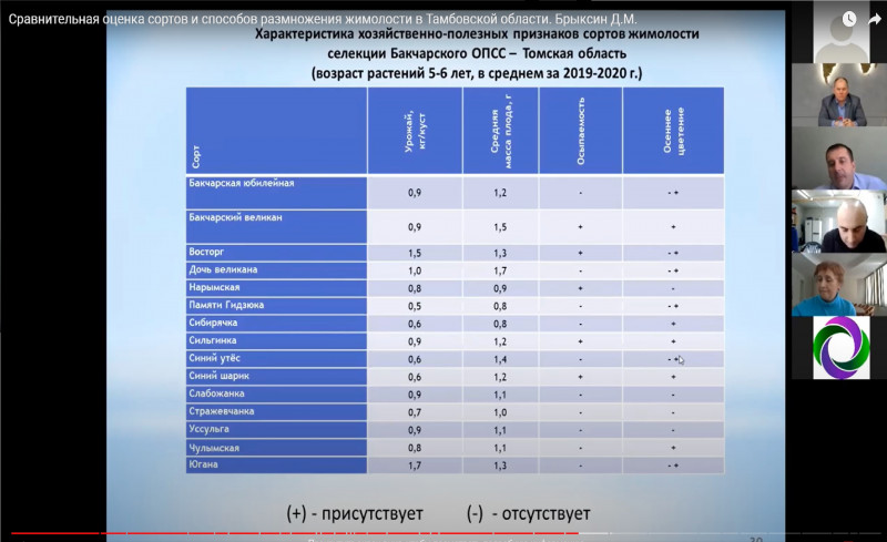 Сравнительная оценка сортов и способов размножения жимолости в Тамбовской области. Брыксин Д.М.