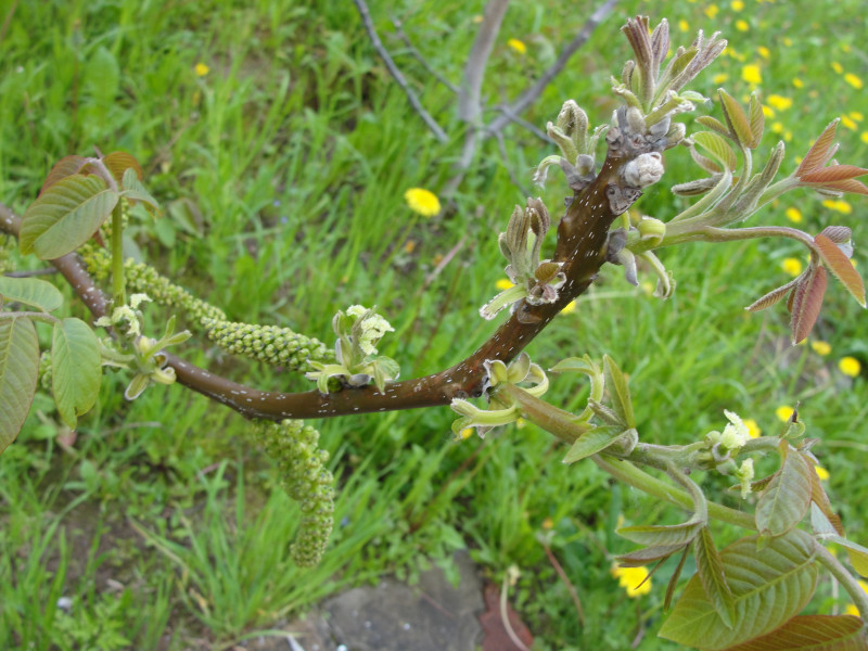 DSC07355.JPG