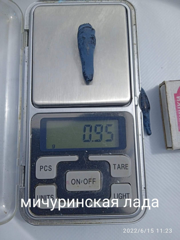 жимолость мичуринская лада.jpg