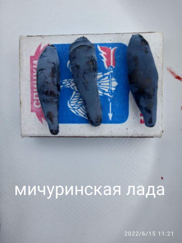 мичуринская лада 1.jpg