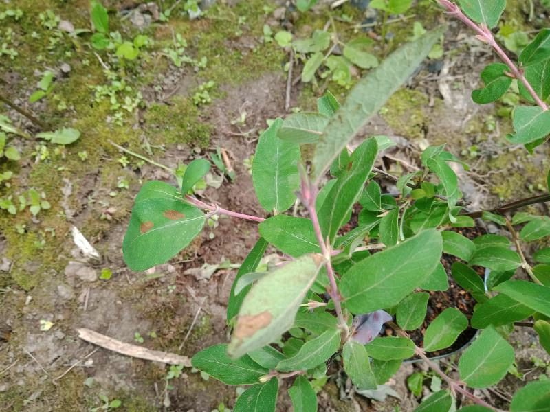 IMG_20220619_135700_755.jpg