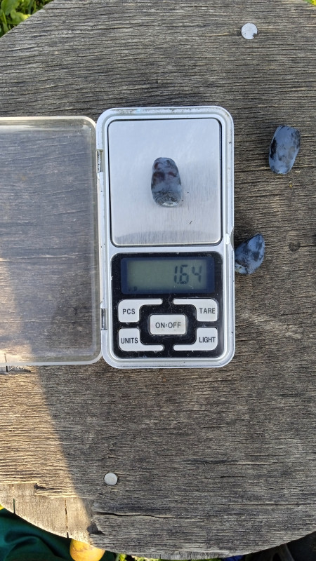 IMG-20220621-WA0020.jpeg