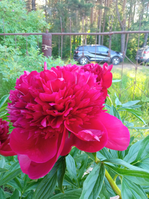IMG_20220625_165858.jpg