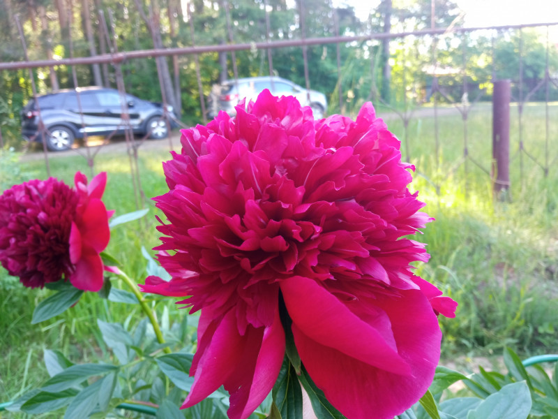 IMG_20220625_165803.jpg