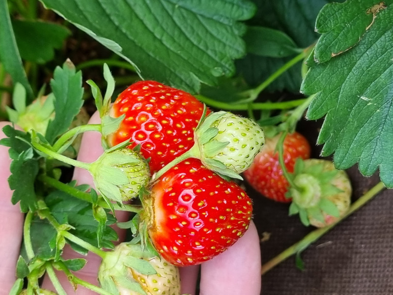 20220716_121734.jpg