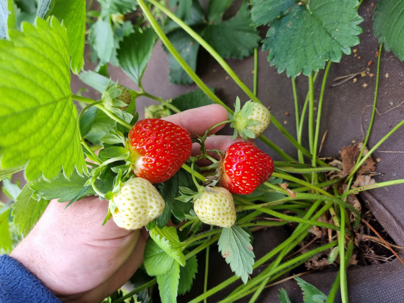 20220716_121705.jpg