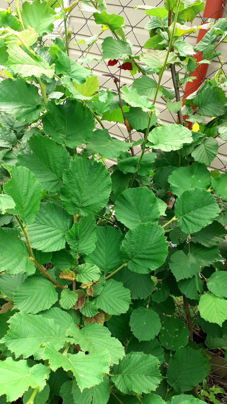 20220717_100357.jpg