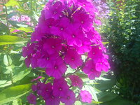 DSC00714.jpg