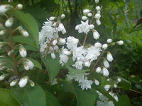 DSC00157.jpg
