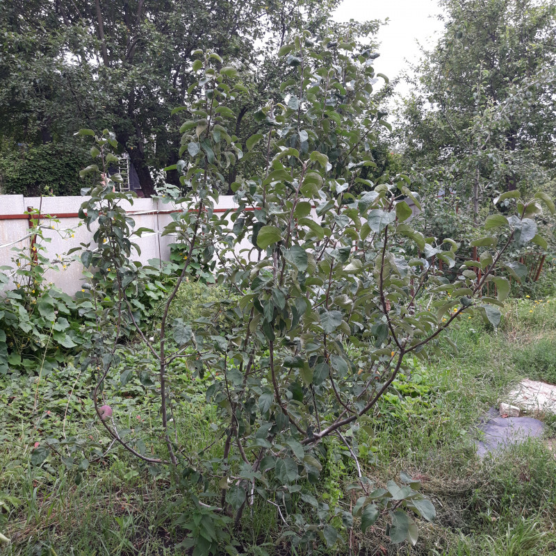 20220813_155034.jpg