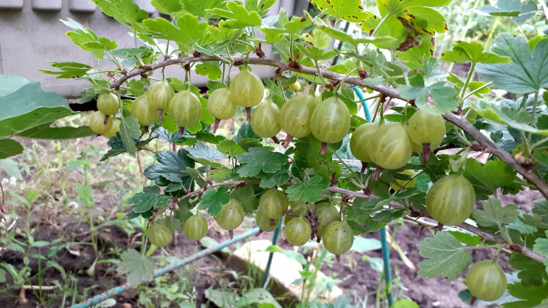 20220810_182616.jpg