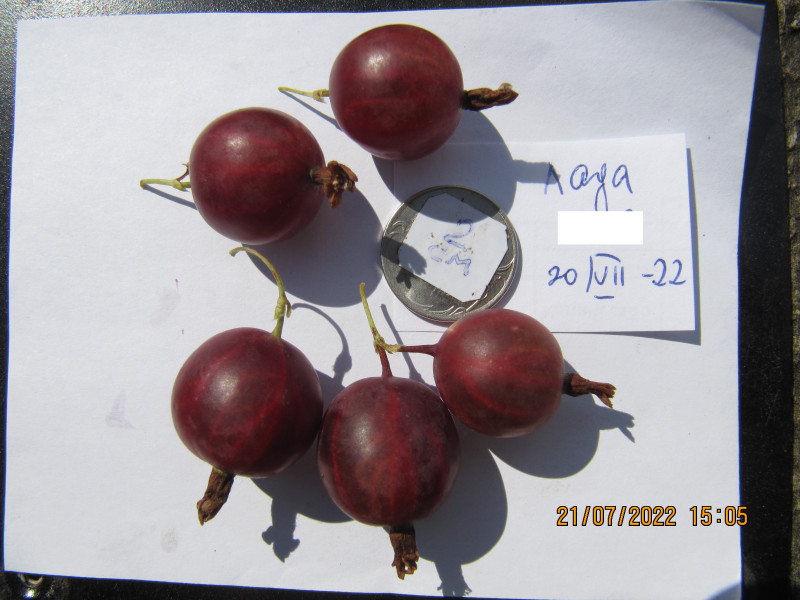 лада IMG_3948.JPG